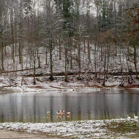 Bosko Domki Z Sauna I Balia W Sulminie Obok Gdanska Exterior foto